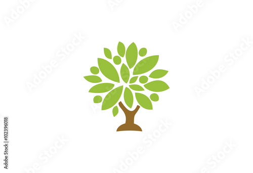 Big oak tree with brown trunk and green leaves crown logo