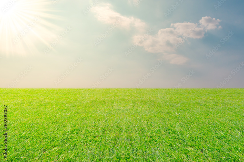 Meadow and Sky landscape background