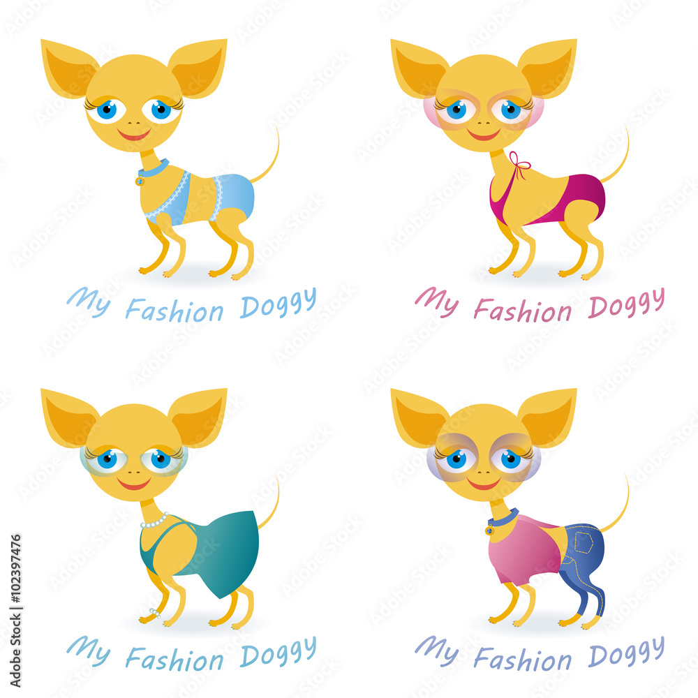 My fashion doggy
