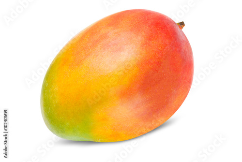Obraz na plátně Mango isolated on white