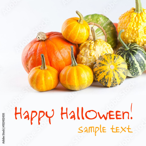 Colorful pumpkins. Halloween pumpkins. Pumpkin varieties. White background. (with easy removable text)
