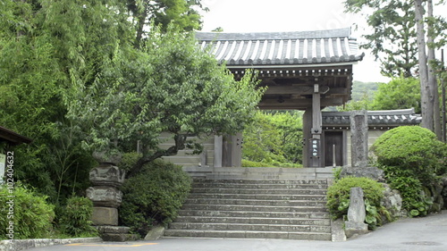 Hokokuji Temple's Bamboo Garden in Kamakura 