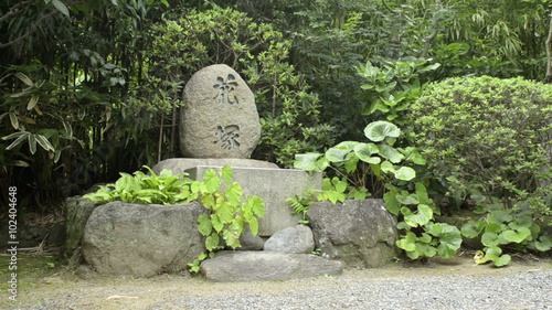 Hokokuji Temple's Bamboo Garden in Kamakura 