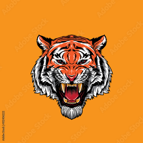 Fototapeta Naklejka Na Ścianę i Meble -  Angry Tiger Head