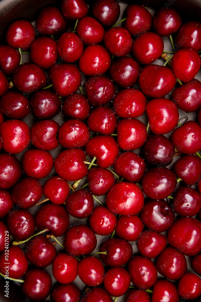 Red cherries with water drops