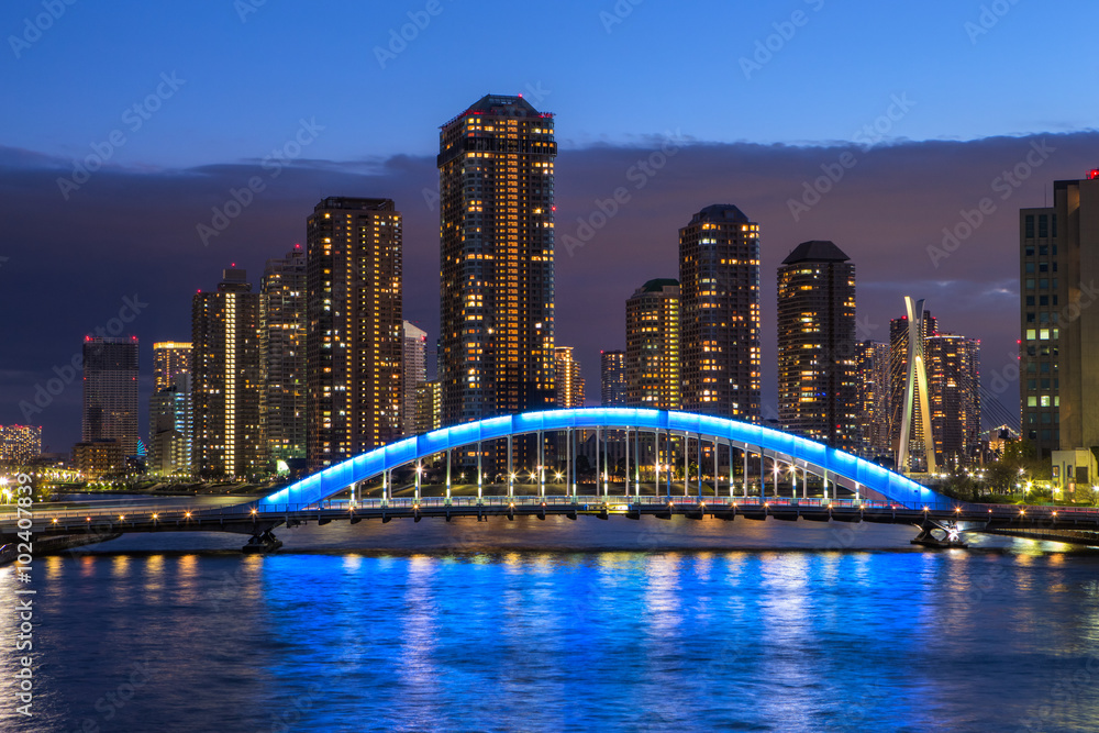 Fototapeta premium 東京夜景・隅田川・永代橋