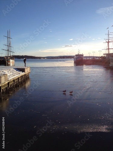 ships at port on frozen fjord © tintinmama