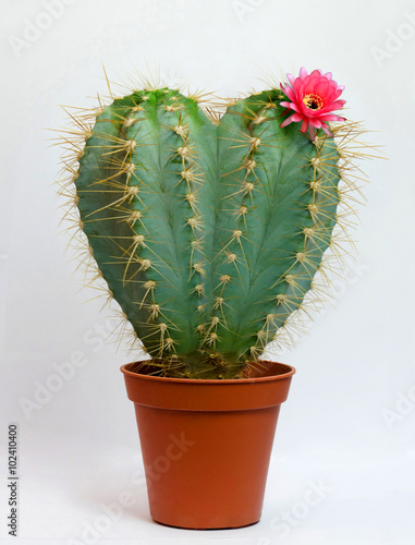 Happy Valentine's Day
