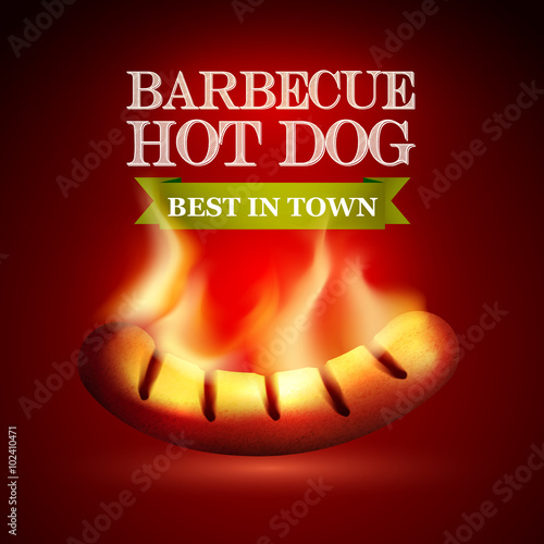 Burning hot dog on a red background with a logo. Vector illustration.