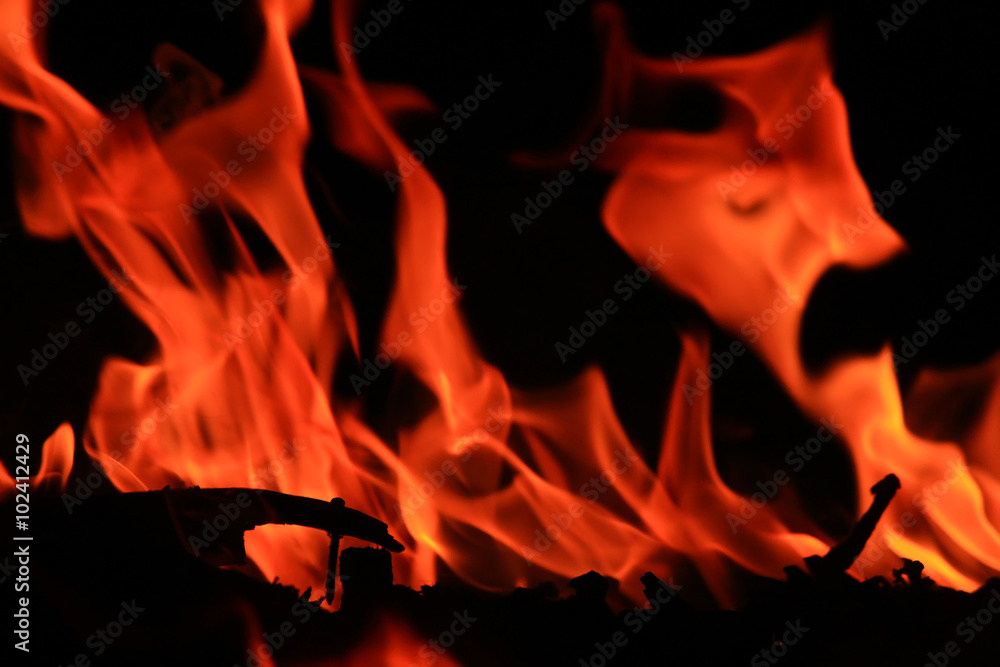 Fototapeta premium Fire