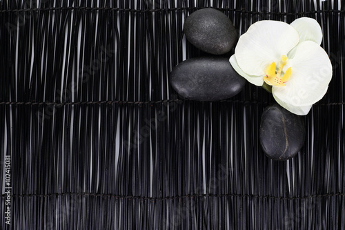 White orchid with zen stones on black background