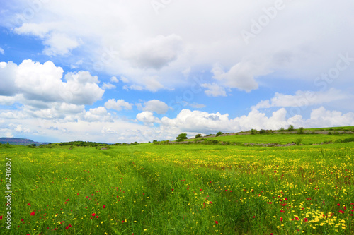 Bellissimo paesaggio di una prateria con dell'erba verde e fiori gialli e con delle nuvole nel cielo blu  photo