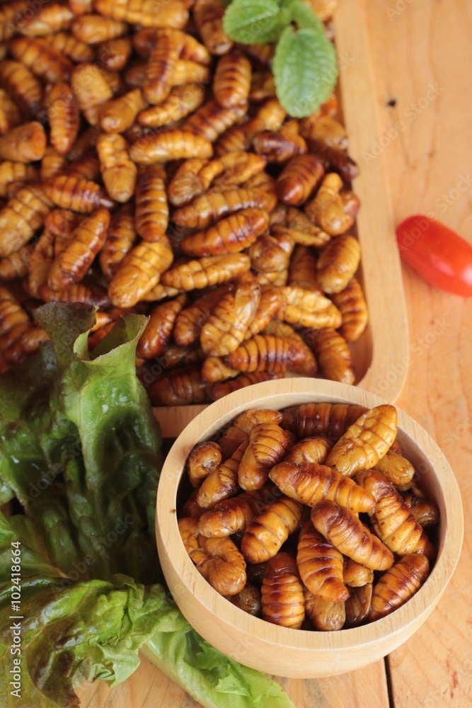 Silkworm pupae Silkworm pupae