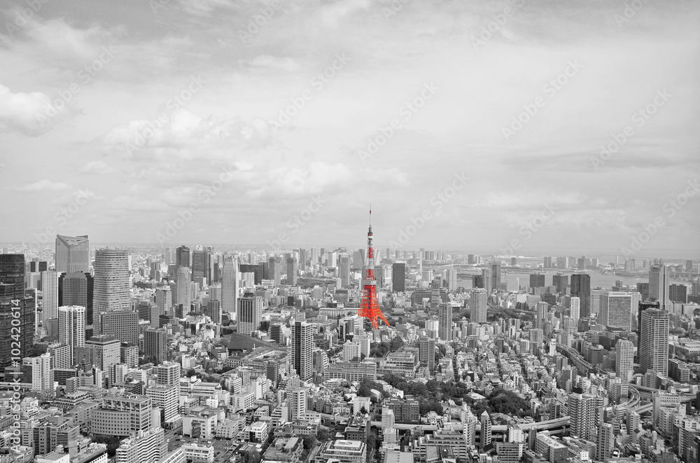Naklejka premium Tokyo city view