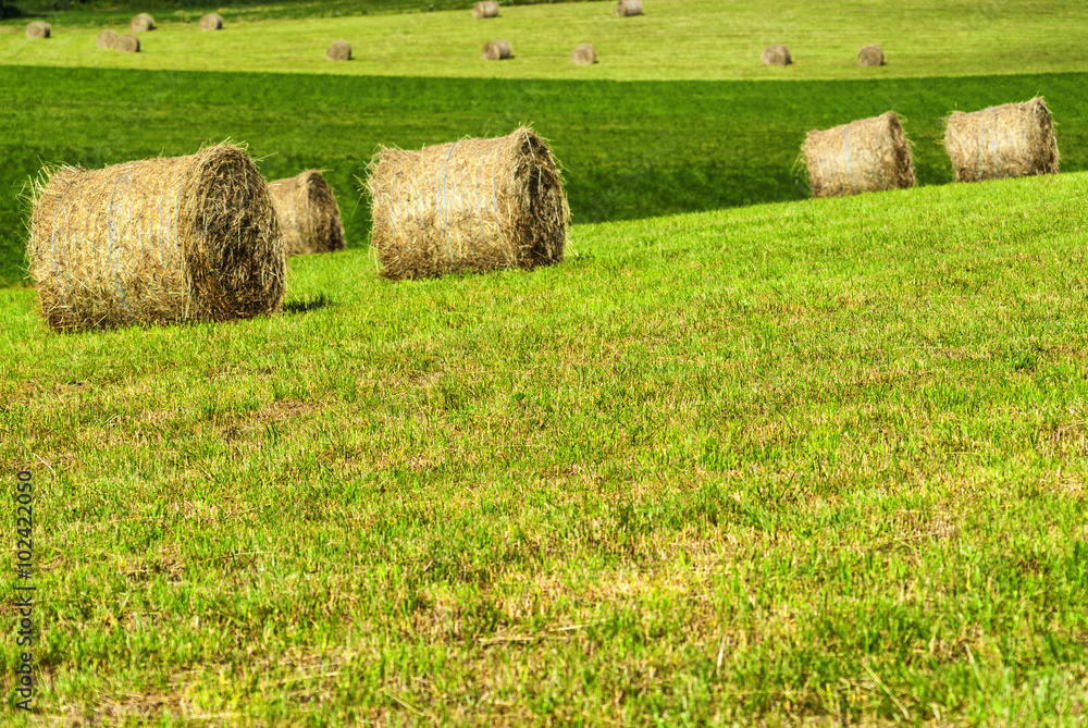 Country landscape in Midi-Pyrenees (France) Country landscape in Midi-Pyrenees (France)
