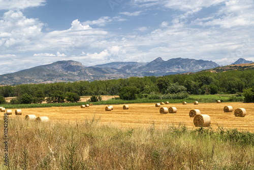 Noguera (Catalunya), country landscape
