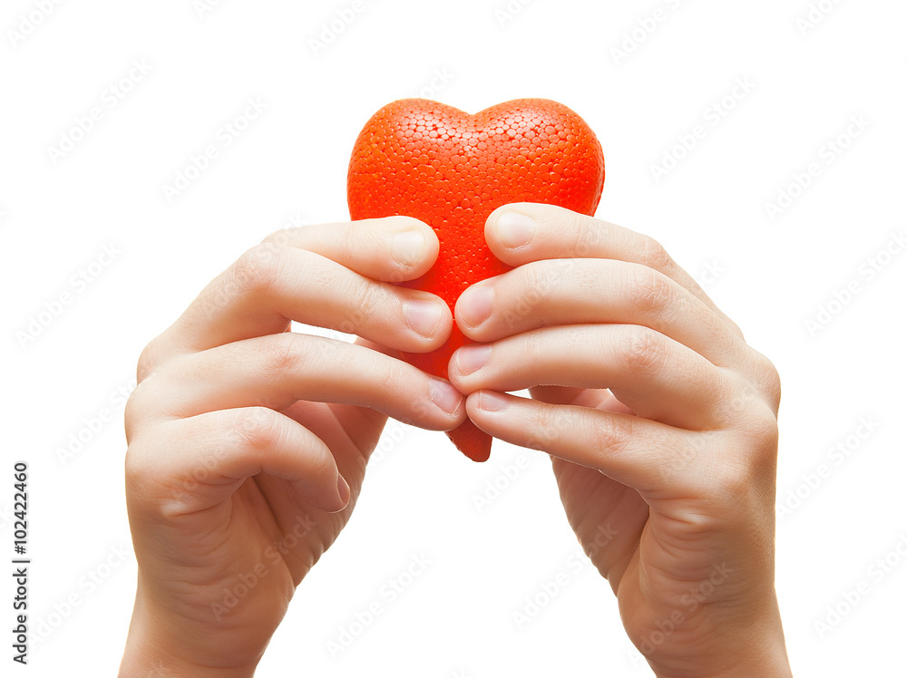 Decorative red heart in the children's hands on a white background Decorative red heart in the children's hands on a white background