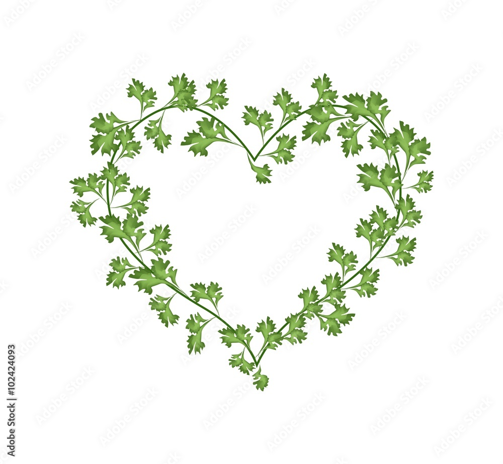 Beautiful Fresh Green Leaves in A Beautiful Heart Beautiful Fresh Green Leaves in A Beautiful Heart