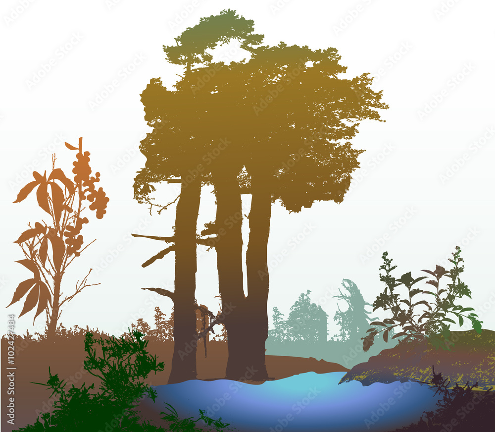 Panoramic wild forest landscape with natural lake and silhouettes of ...