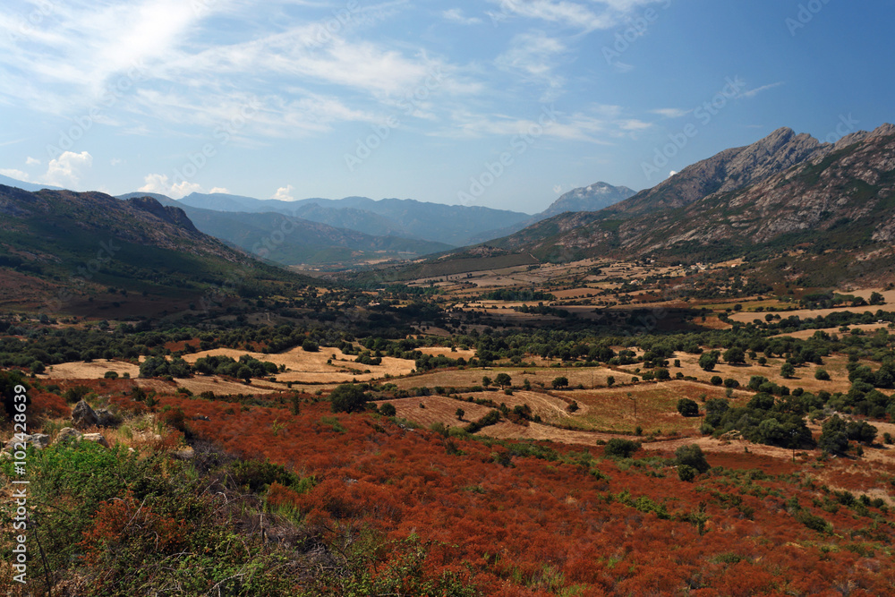 Obraz premium Balagne 