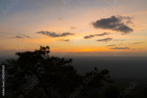 Colorful sky and sunset above pine tree.