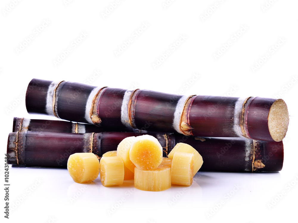 Sugar cane isolated on white background Sugar cane isolated on white background
