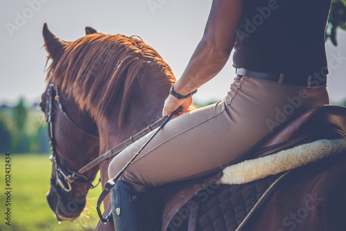 Fototapeta Naklejka Na Ścianę i Meble -  Woman riding on a brown horse