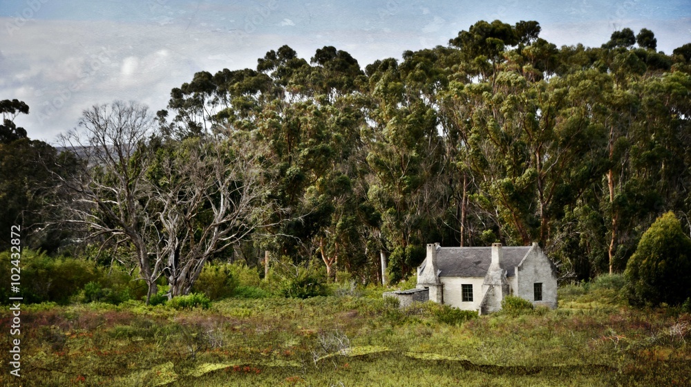 Landscape with old Farm house and Eucalyptus trees