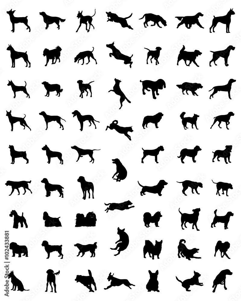 Black silhouettes of different races of dogs, vector