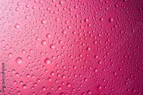 Water drops pink background