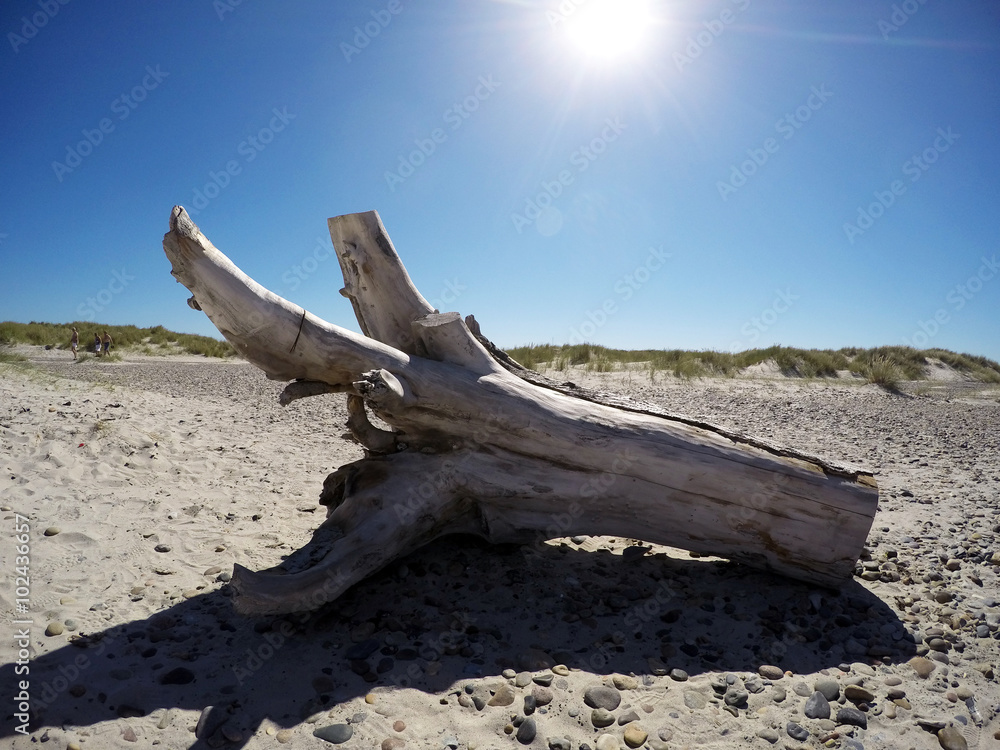 Strand in Dänemark