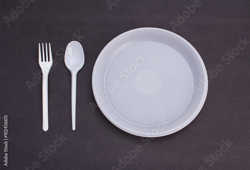 disposable tableware