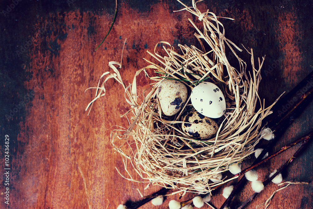 Obraz premium Easter decoration with quail eggs