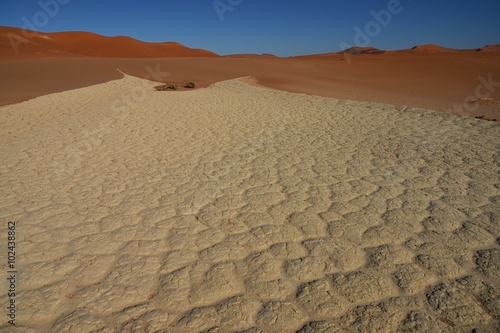 Dead Vlei im Namib-Naukluft-Park