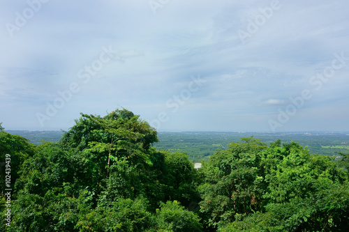 landscape tropical jungle
