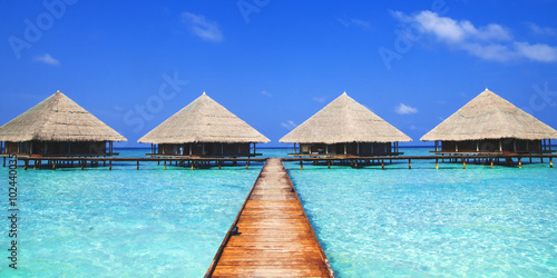 Maldives Dock Clear Water Traveling Concept