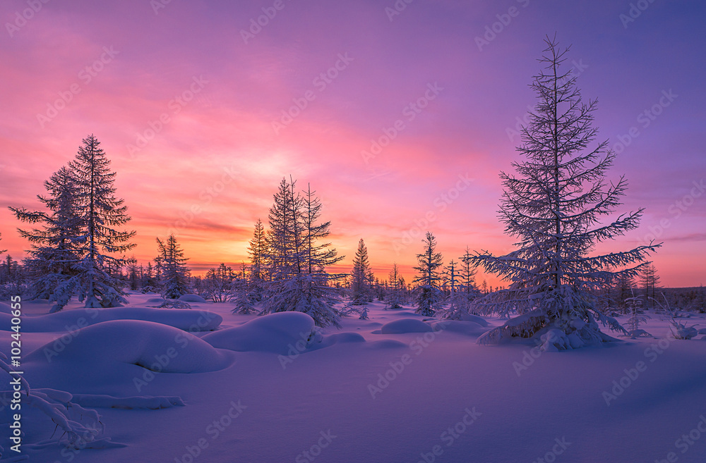 Naklejka premium Winter landscape with forest, cloudy sky and sun 