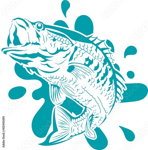 Fish jumping vector