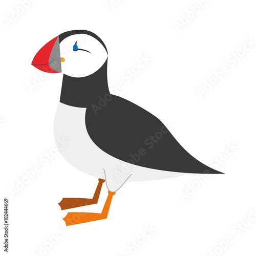 Cute cartoon puffin vector illustration