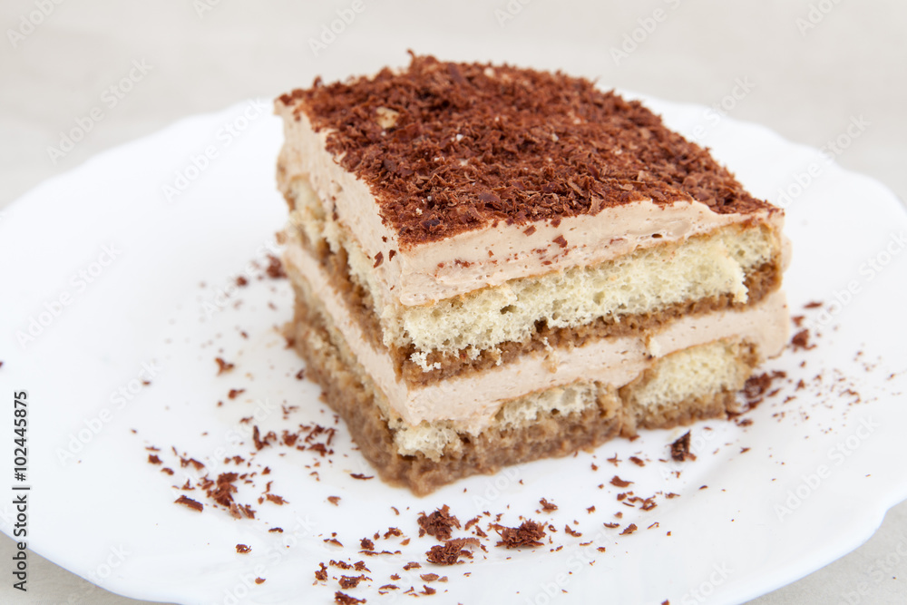 Piece of biscuit cake on white plate Piece of biscuit cake on white plate