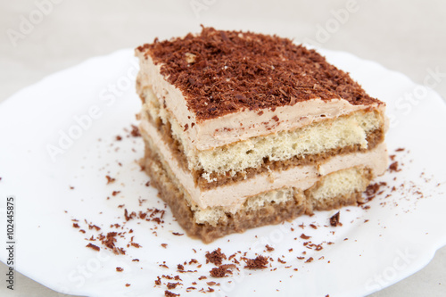Piece of biscuit cake on white plate