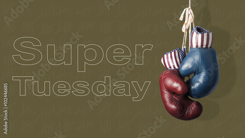 Foto Super Tuesday in the United States of America
