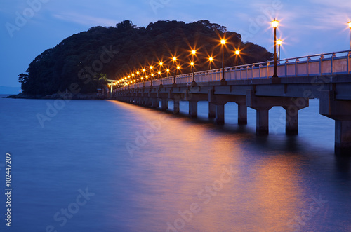 Night view on bridge from Take Island to Gamagori, Japan