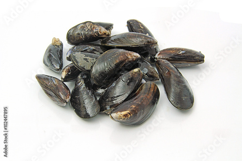 moules 10022016