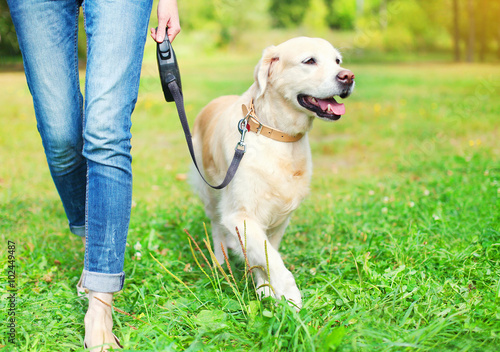 Owner walking with Golden Retriever dog together in park photo