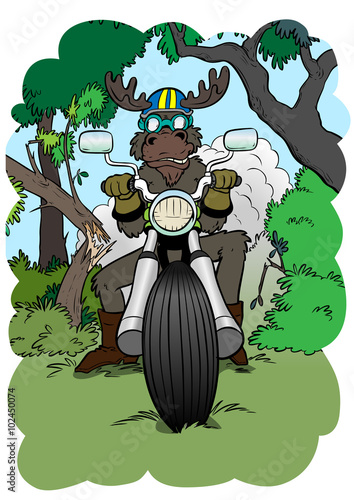 Galen älg på motorcykel i skogen