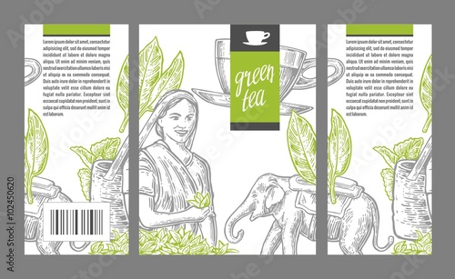 Tea picker woman, tea leaves, cup, elephant. Vector engraved vintage isolated illustration for label black tea, packaging, box.