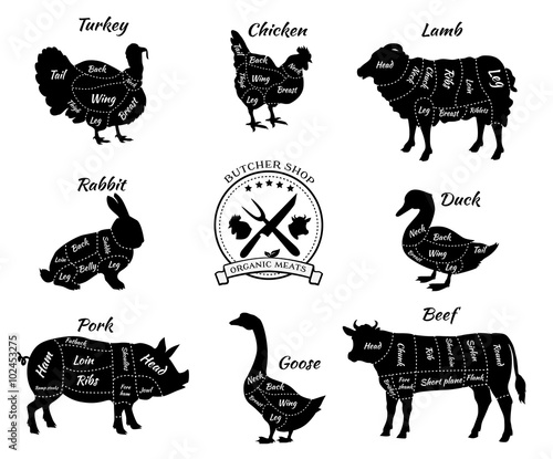 Set Schematic Vew of Animals for Butcher Shop