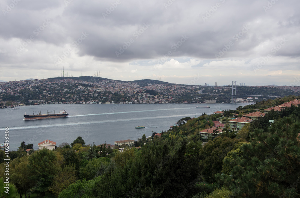Naklejka premium The Bosphorus strait in Istanbul