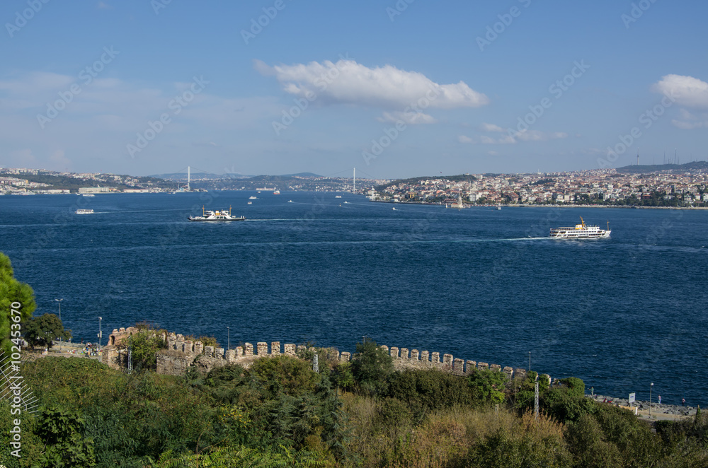Obraz premium The Bosphorus strait in Istanbul